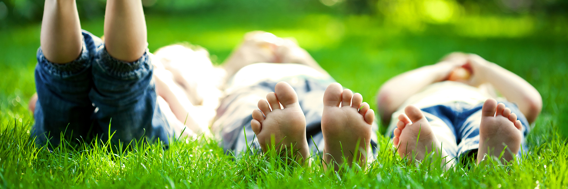Weed Control, Lawn Care I Calgary, Red Deer I Earth Smart logo