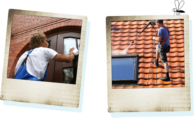 Earth Smart Property Solutions offers interior and exterior home cleaning including windows and power washing