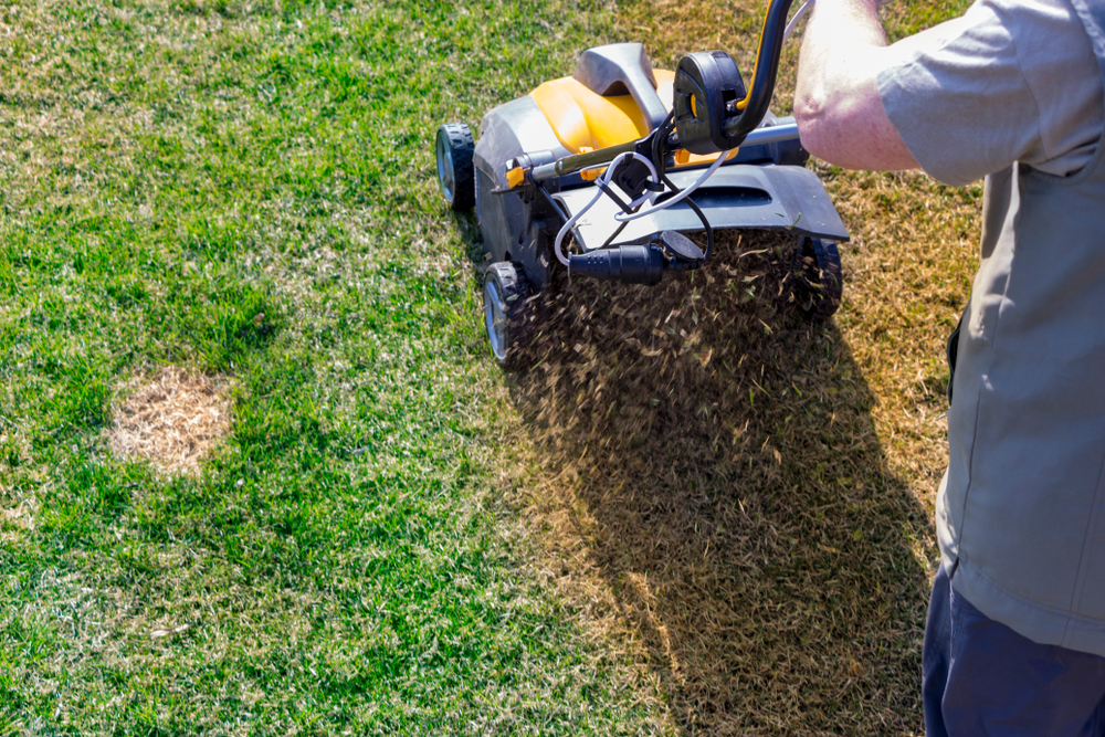 How to Properly Renovate a Lawn Weed Control, Lawn Care I Calgary