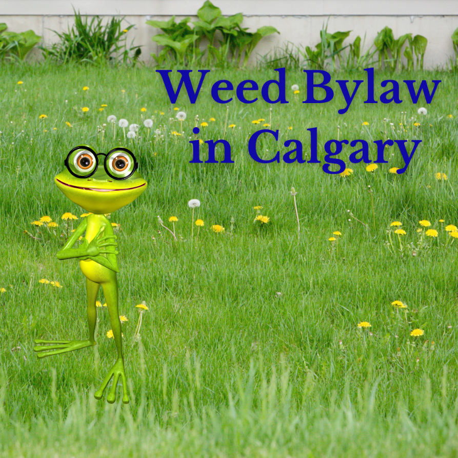 Weed Control Calgary