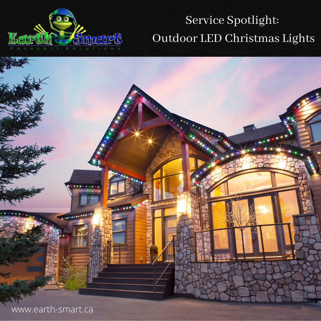 LED Lighting, Residential Services