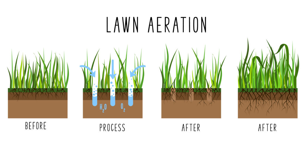 Core Aeration