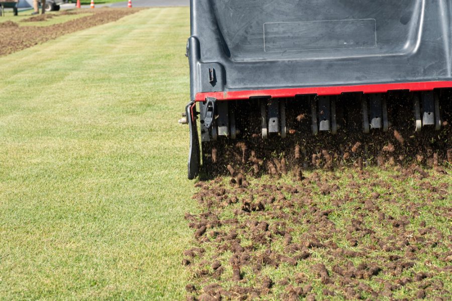 Core Aeration Signs Your Lawn Needs It! Weed Control, Lawn Care I