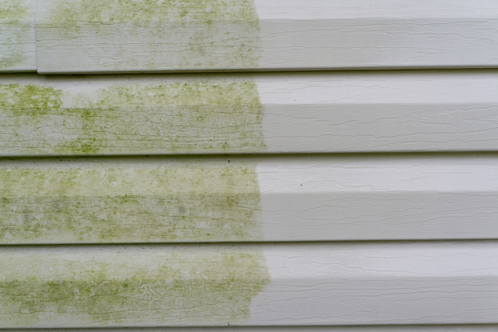 Before and after photo of dirty vinyl siding