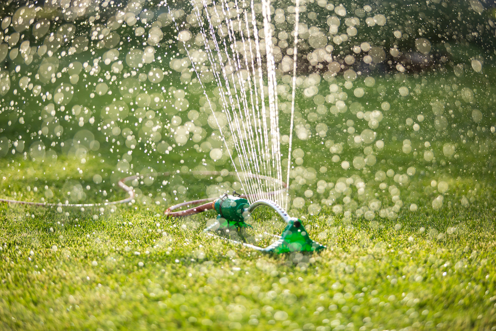 Lawn watering