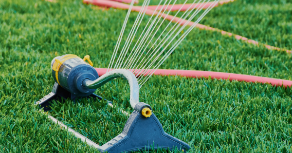 Watering Lawn