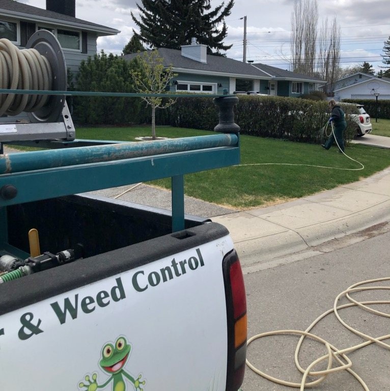 Lawn care technician checking weather conditions before applying fertilizer and weed control.