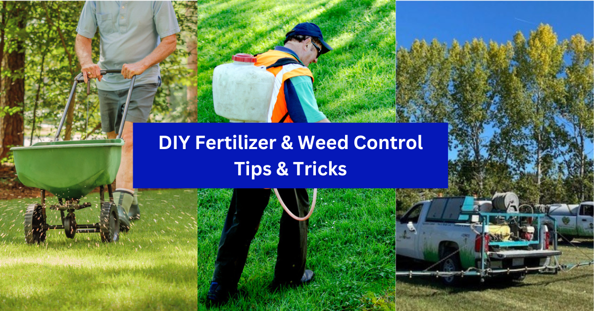 diy lawn fertilizer and weed control tips calgary and red deer