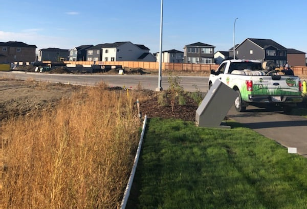 Three weeks after spraying