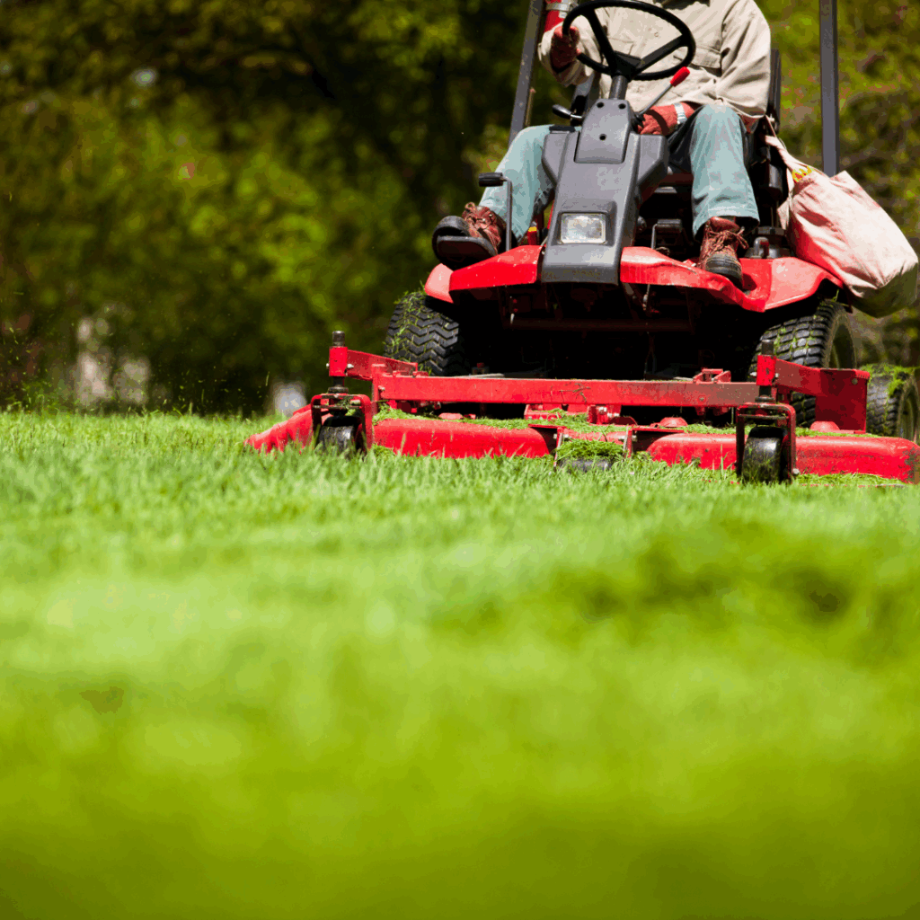 Cutting grass with a lawn mower set at fall height