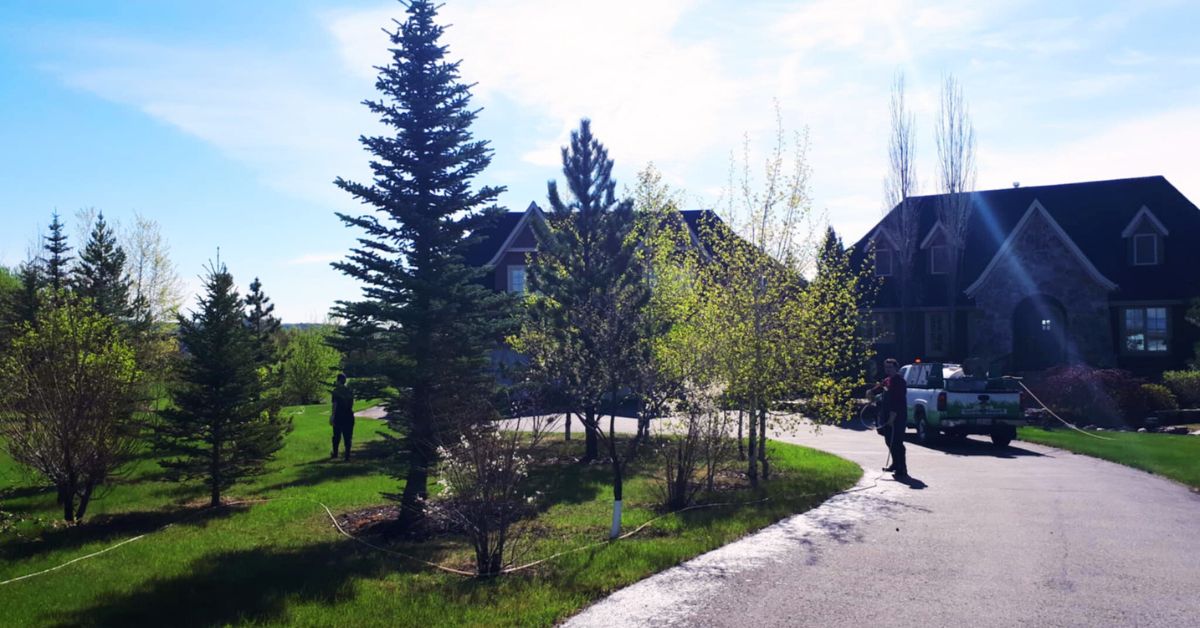 Earth Smart Property Solutions providing late summer weed control