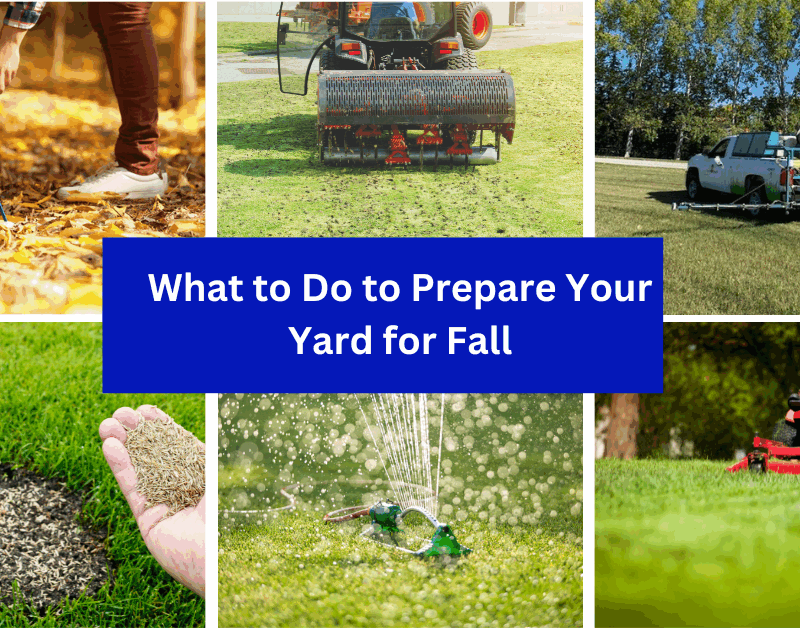 Steps on what to do to prepare your lawn for fall