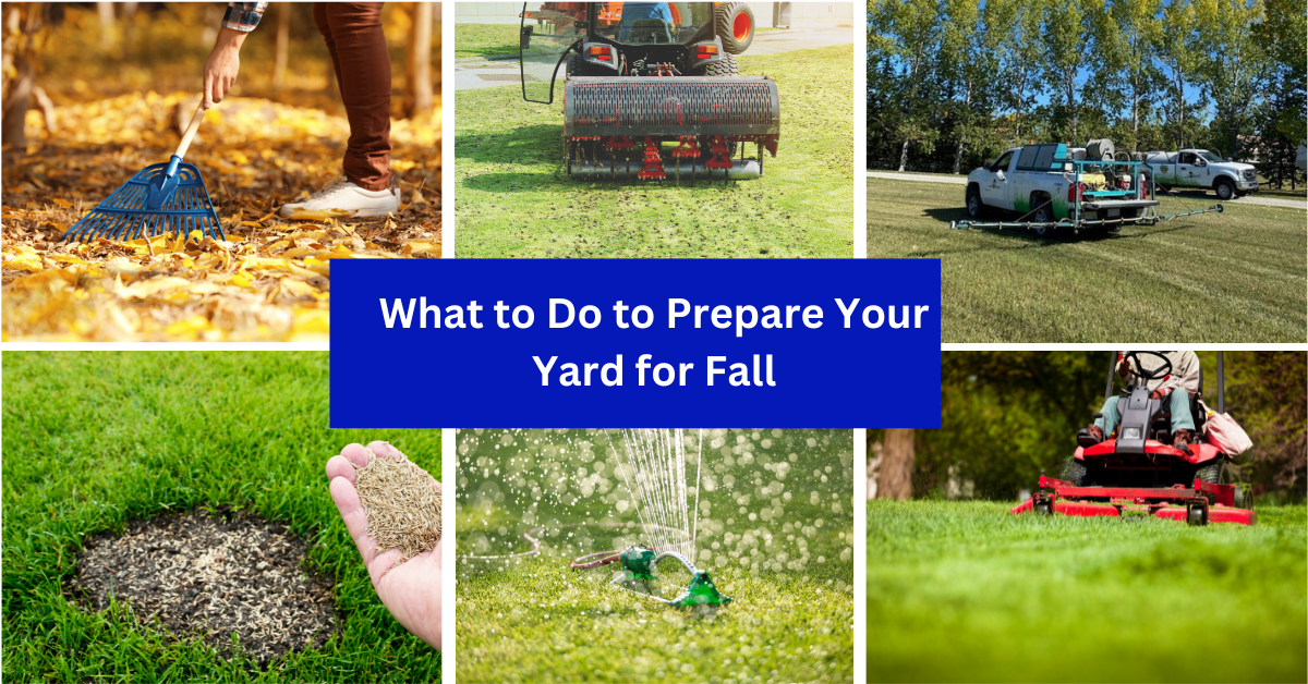 Steps on what to do to prepare your lawn for fall