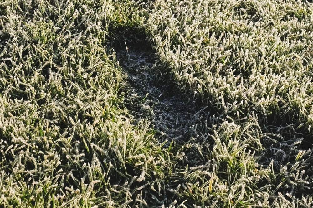 Foot traffic and pet paths causing damage on a frozen winter lawn